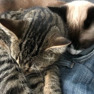 Meet your Posher, Angela